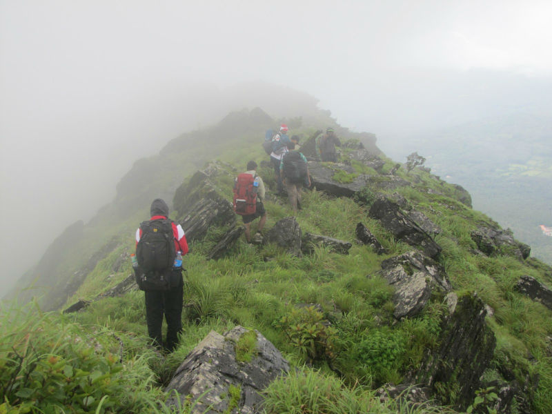 Image-2