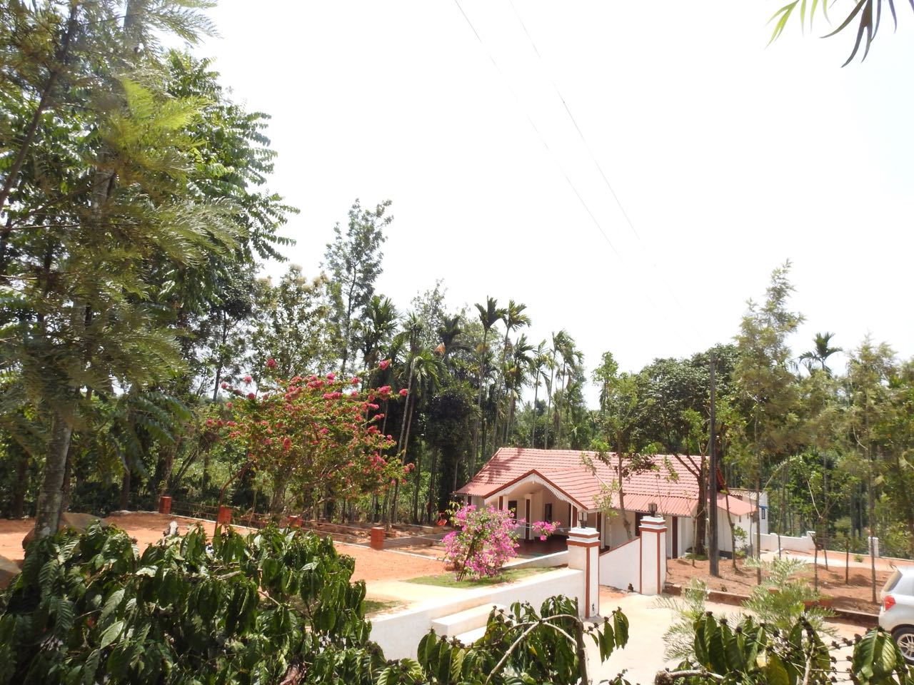 Image-2